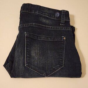 Kensie Vintage Luxe High Rise Skinny - 6/28